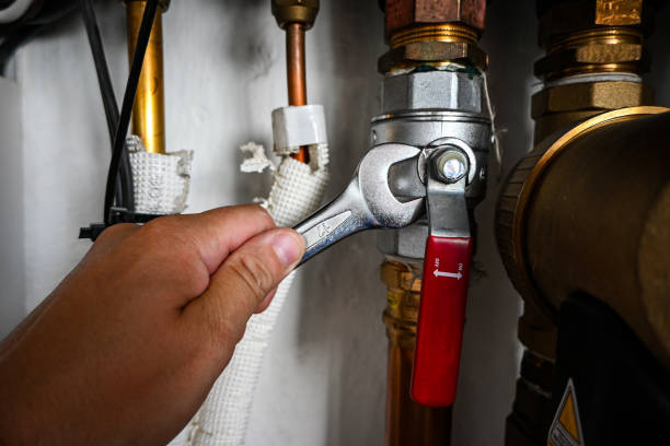 Best Clogged Drain Plumber  in Kaneohe, HI